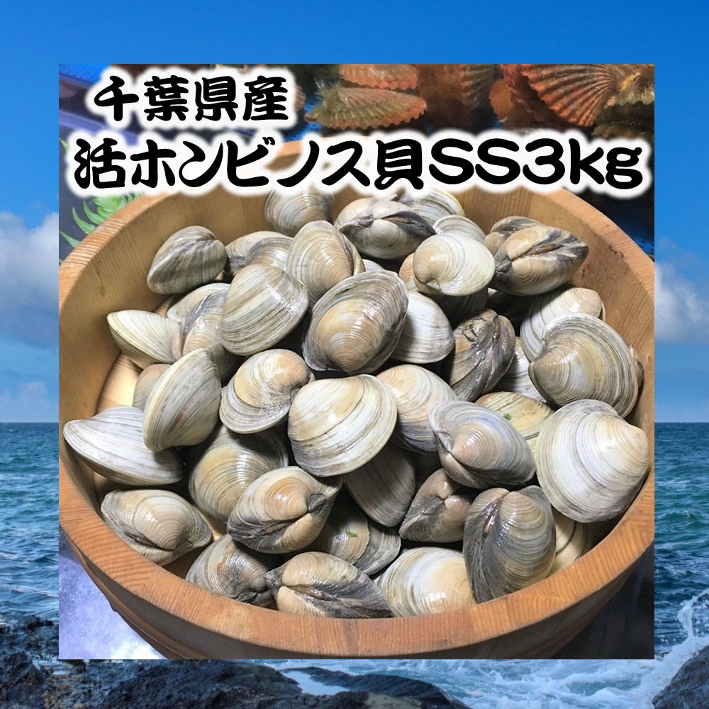 千葉県生み活ホンビノス貝殼ss3kg ホワイトハマグリ 随分アサリ 45 60粒次元 丸焼き 活き お取り寄せ 与え クラムチャウダー 浜焼き Orbisresearch Com