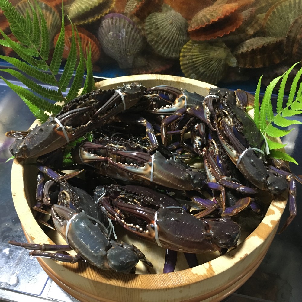 楽天市場 高知県浦戸湾産天然イシガニ 2キロ 8 12匹 活海老 貝 卸の店うみさち