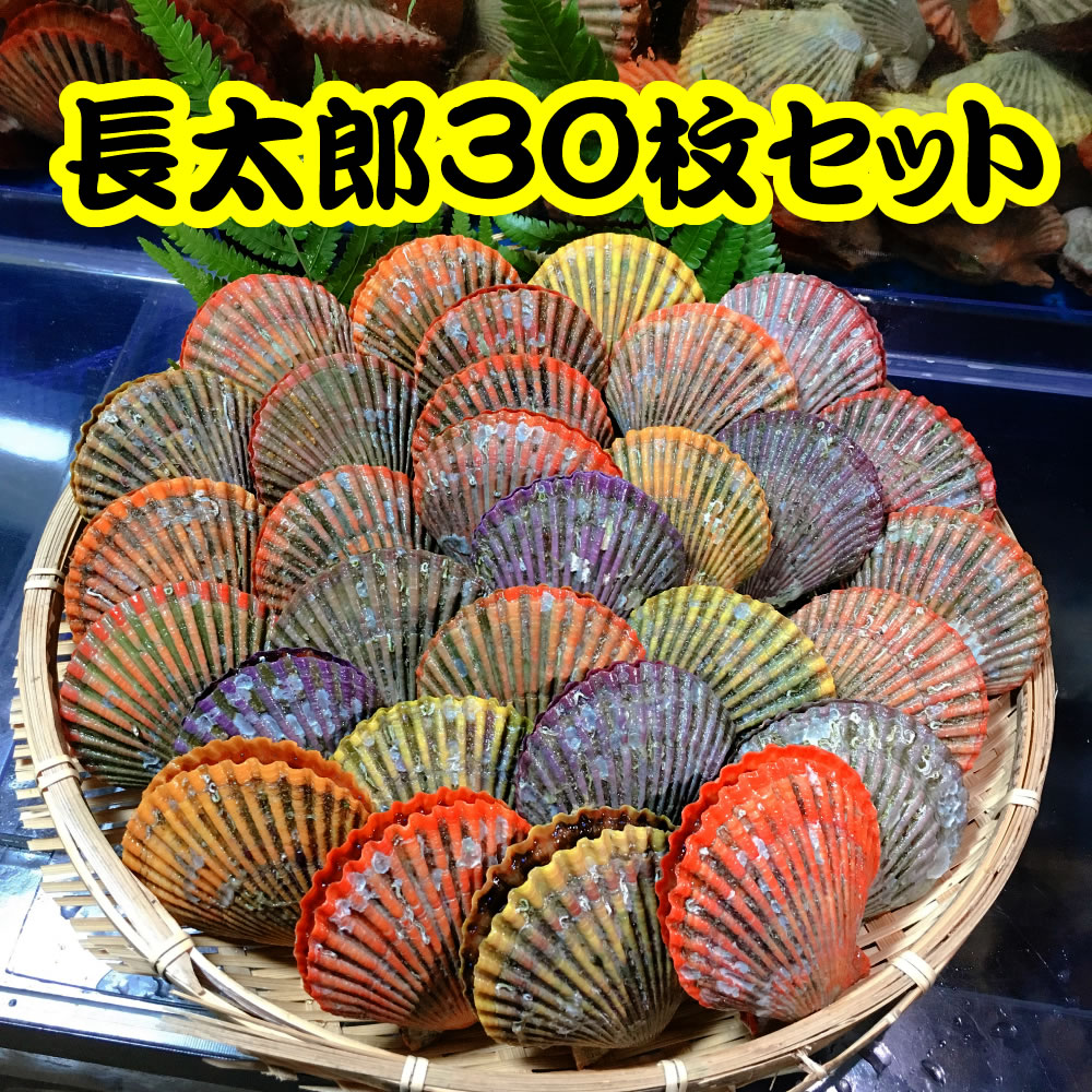 活き長太郎貝 ヒオウギガイ 30枚 贈答 お取り寄せ バーベキュー 浜焼き クラムチャウダー 活き 貝 特産 q 高知 愛媛県では大人気の貝です 浜焼きに最高 女子シングルスで大坂なおみ選手が2回目の Diasaonline Com
