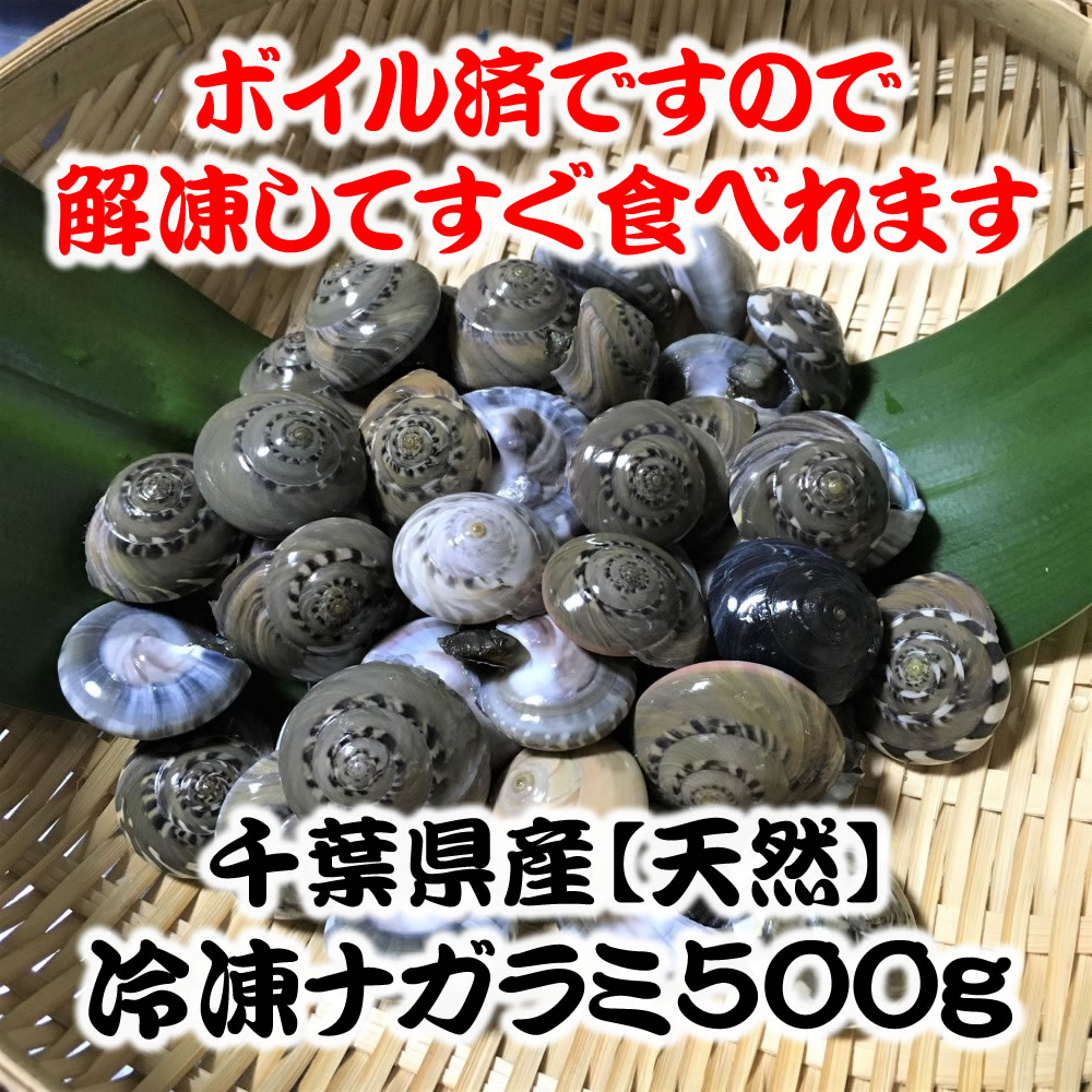 千葉県産 天然 貝 冷凍ナガラミ お摘み あて