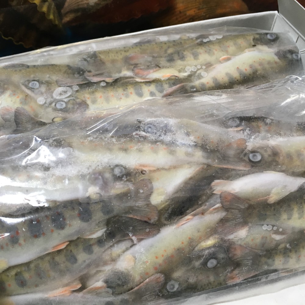 楽天市場 アメゴ幼魚 1キロ 100 130匹 冷凍 仁淀川 仁淀ブルー 養殖 清流 塩焼き 炭焼き バーベキュー 晩酌 アメゴ 川魚 煮付け 特産 贈答 ギフト 干物 素揚げ 唐揚げ 珍味 レア 活海老 貝 卸の店うみさち 楽天市場 アメゴ幼魚 1キロ 100 130匹 冷凍 仁淀川 仁淀ブルー 養殖 清流 塩焼き 炭焼き バーベキュー 晩酌 アメゴ 川魚 煮付け 特産 贈答 ギフト 干物 素揚げ 唐揚げ 珍味 レア 活海老 貝 卸の店うみさち