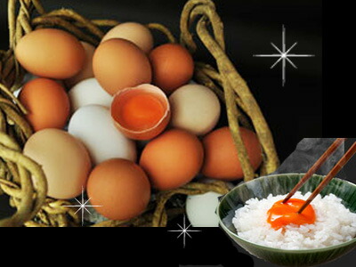 (たまごかけごはん)　4.8ファイナルギヤセット ZN6 美品 楽天市場】No.001究極のたまごかけごはん専用たまごご自宅用お買い得