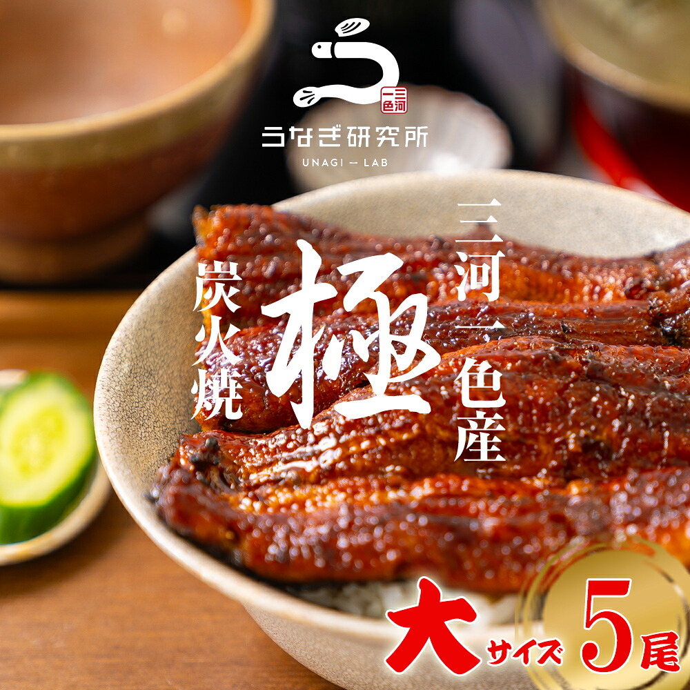 【10%OFFクーポン配布中!!】うなぎ 蒲焼き【大(140~150g)】5尾 国産 三河一色産 炭火手焼き 長焼き 蒲焼 タレ付 お取り寄せ 土用の丑 お中元 お歳暮 母の日 父の日 お祝い プレゼント 個包装 真空パック 蒲焼き|うなぎ研究所