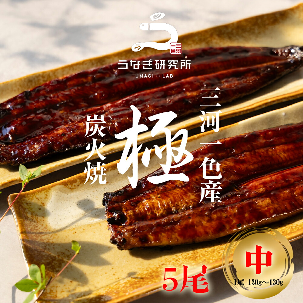 うなぎ 蒲焼き【中(120~130g)】5尾 国産 三河一色産 炭火手焼き 蒲焼 長焼き タレ付 お取り寄せ 土用の丑 お中元 お歳暮 母の日 父の日 お祝い プレゼント 個包装 真空パック|うなぎ研究所