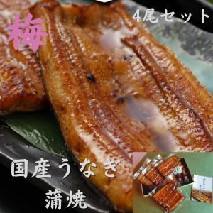 ≪送料無料≫≪四食セット≫【梅】国産蒲焼120ｇ×4　古賀 うなぎ蒲焼き　　国産鰻　【お歳暮】【浦和うなぎ】【江戸前】【備長炭焼き】【タレ付】【さんしょう付】父の日のプレゼント　土用の丑の日 誕生日プレゼント[鰻]