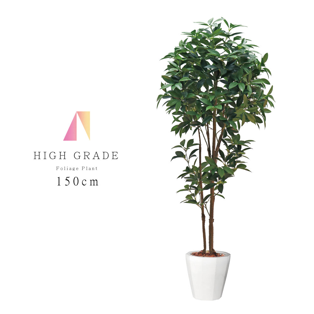 楽天市場】観葉植物 フェイクグリーン 人工観葉植物 バイオリンの木 造花 おしゃれ ツリー 店舗装飾 黒鉢付 光触媒 大型 インテリア 150cm :  DOUBLEW