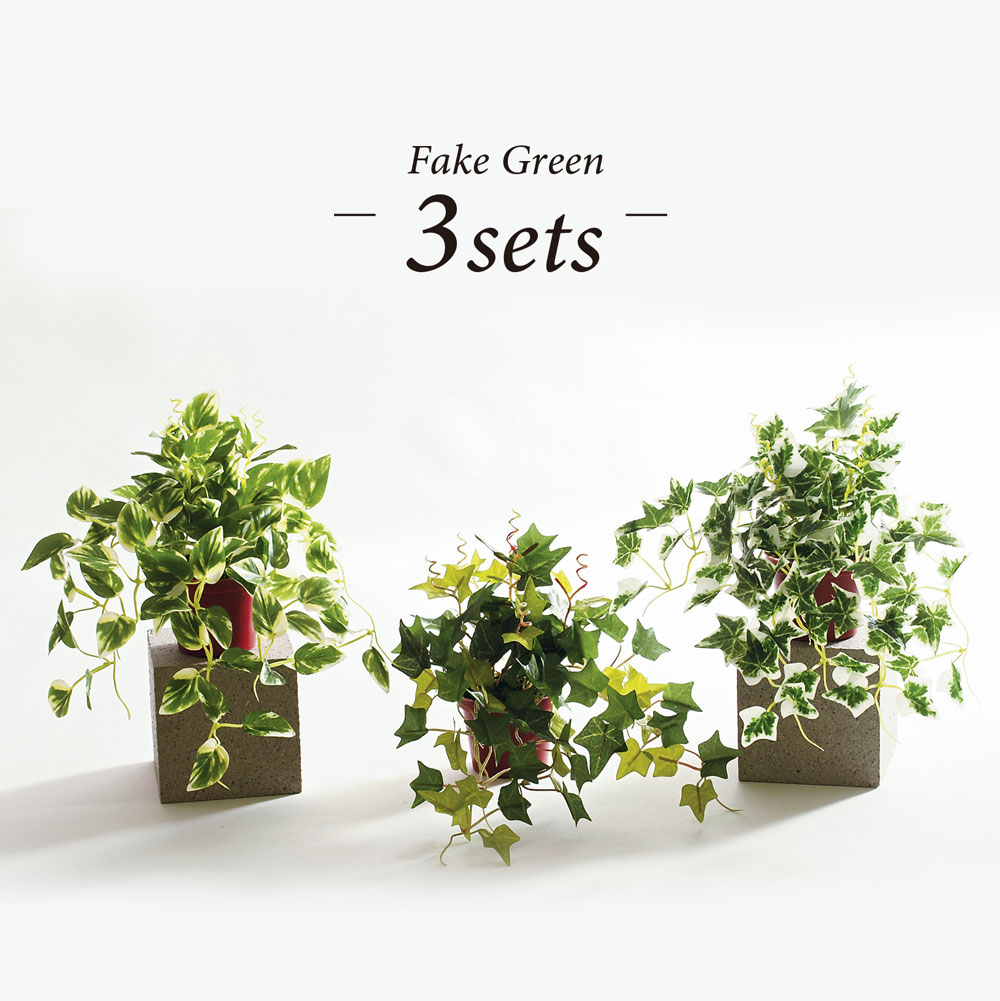 楽天市場】人工観葉植物 フェイクグリーン リアル 観葉植物 造花