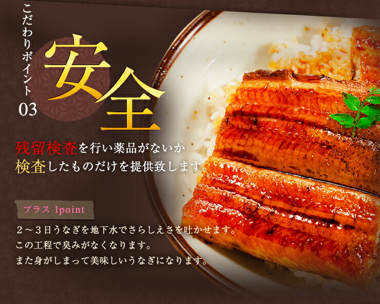 ギフト贈答お誕生日に【蒲焼き&きざみうなぎギフトセット】約2人分国内産うなぎ蒲焼大1尾(約140〜160g)&きざみうなぎ(約60g×1袋)【父の日、贈答、お取り寄せ】【送料無料!!】【蒲焼国産うなぎ】一本一本炭火で丁寧に焼いてます