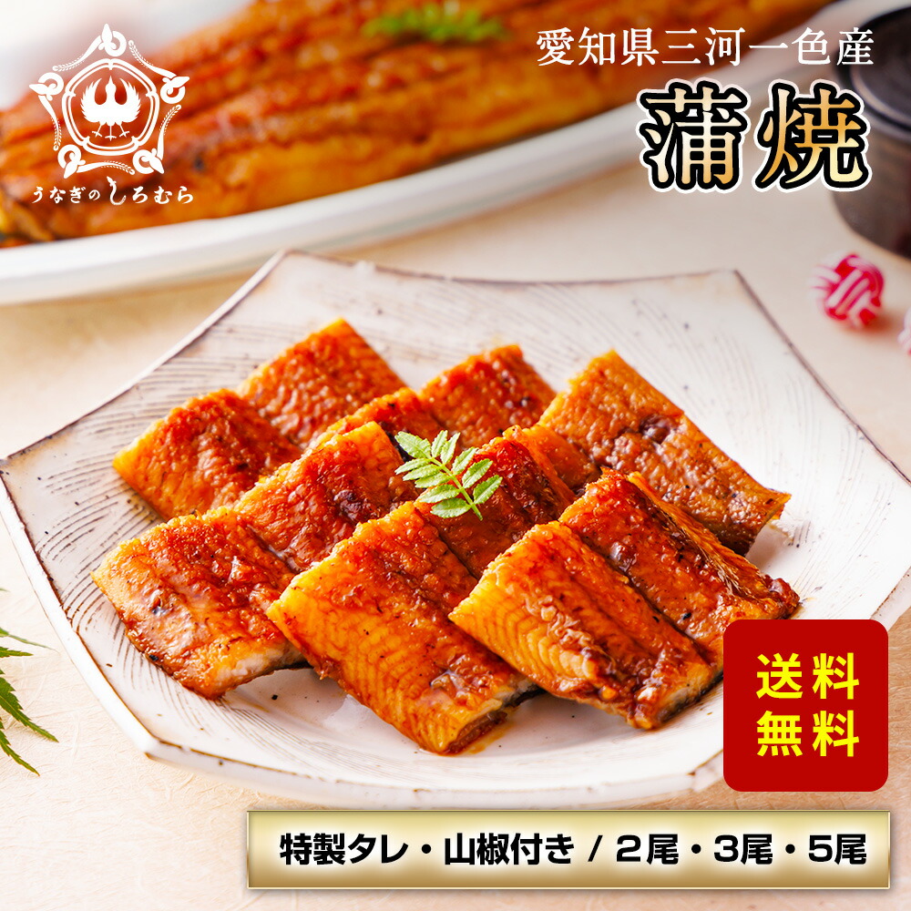蒲焼き うなぎ 2尾 3尾 三河一色産 炭火焼き 国産うなぎ お中元 誕生日 お祝い 内祝 お返し 食べ物 グルメ 国産 ウナギ 鰻 蒲焼き ギフト プレゼント 土用丑 土用の丑の日 敬老の日 ※ ふるさと納税 ではありません ※ 訳あり ではありません