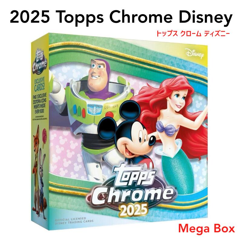 Disney 2025 EPOCH トレーディングカード　ジャスミン ディズニープリンセスコレクションカード アラジン ジャスミン