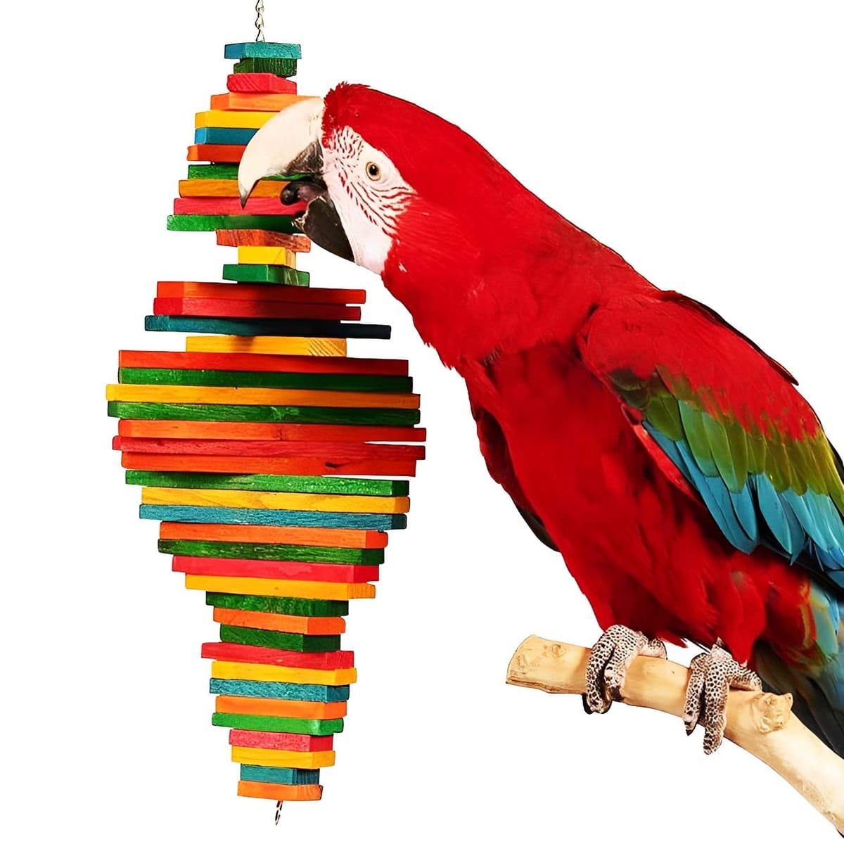 楽天市場】MIMIA インコ 吊り下げ おもちゃ カラフル止まり木