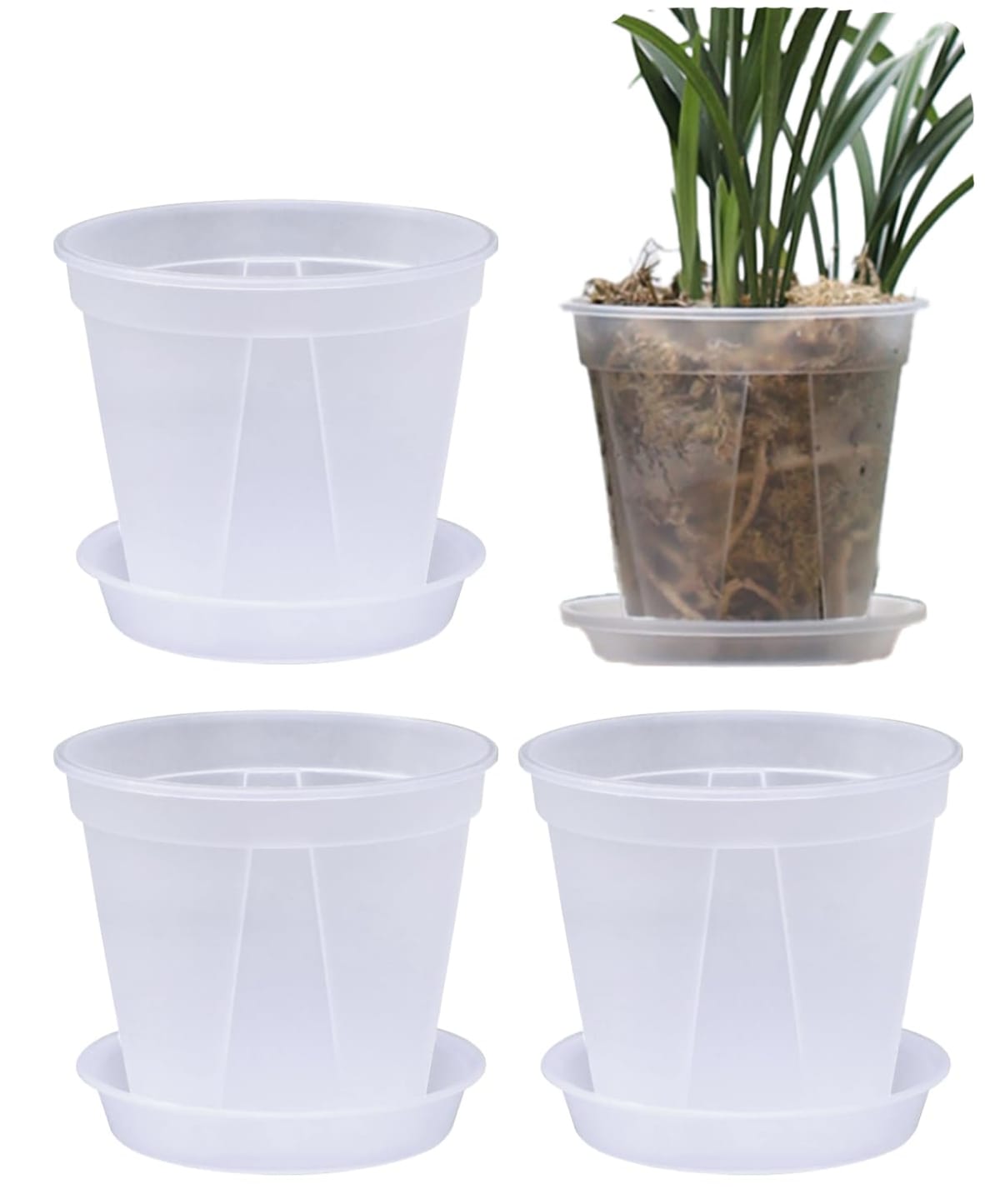 楽天市場】S.fields.inc スリット鉢 植木鉢 透明 プラスチック