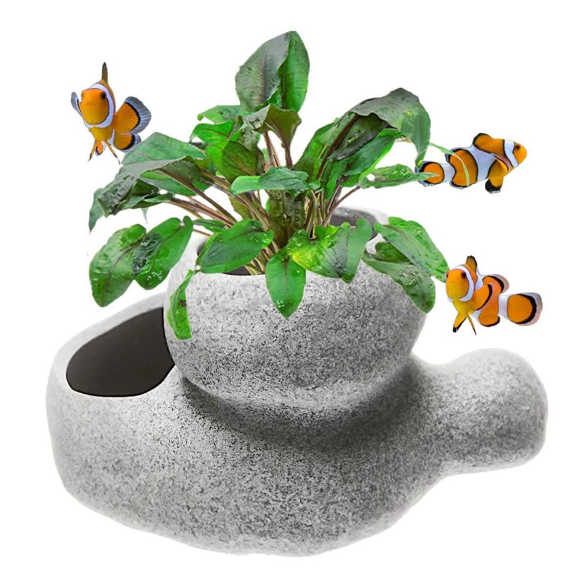 【新品・未使用】水景BONSAI 2個セット これが、あーなって、こーなった！ おかえり。 #盆栽 #小品盆栽