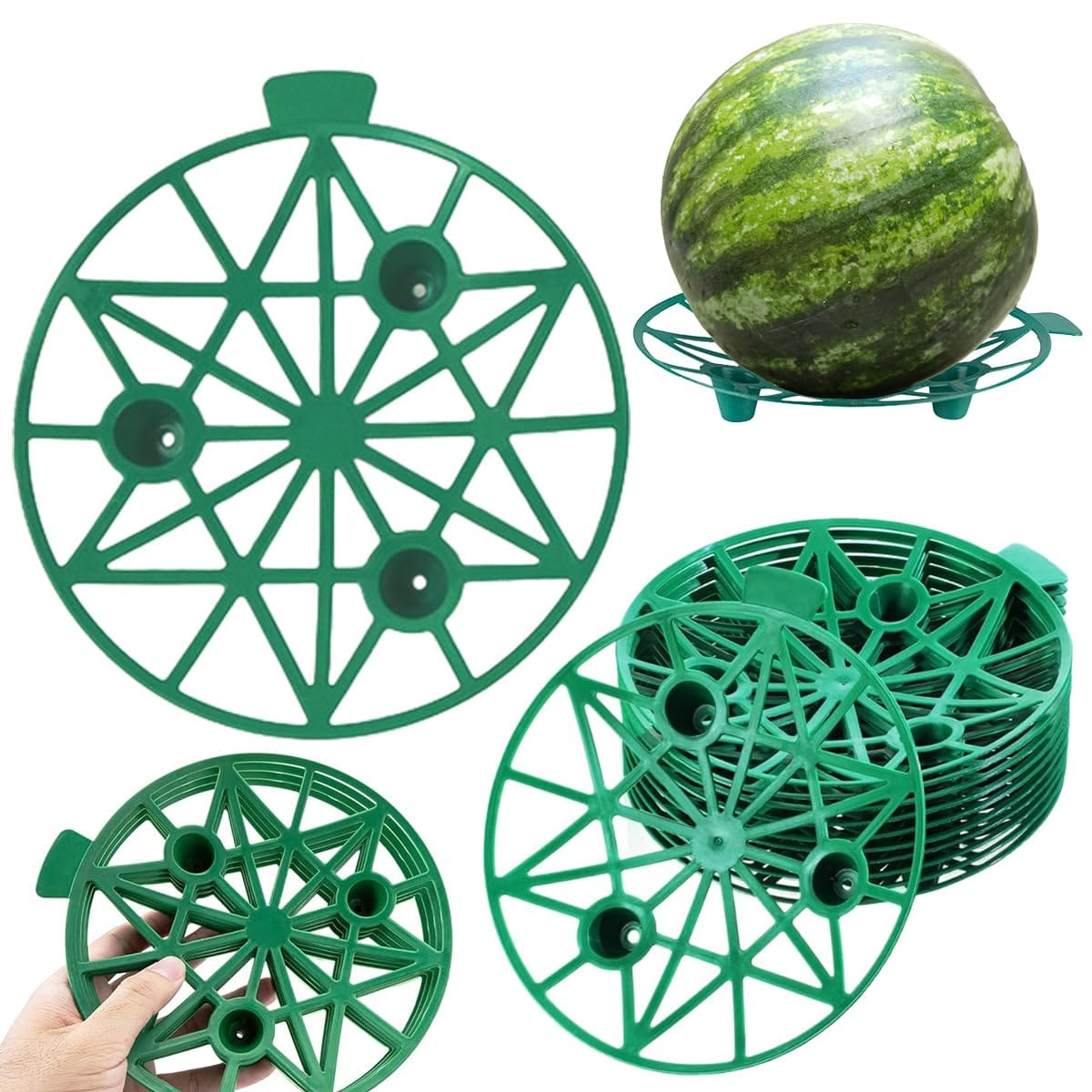 野菜園芸大百科　5　スイカ・カボチャ 野菜園芸大百科 5 スイカ・カボチャ 野菜園芸大百科（5）スイカ