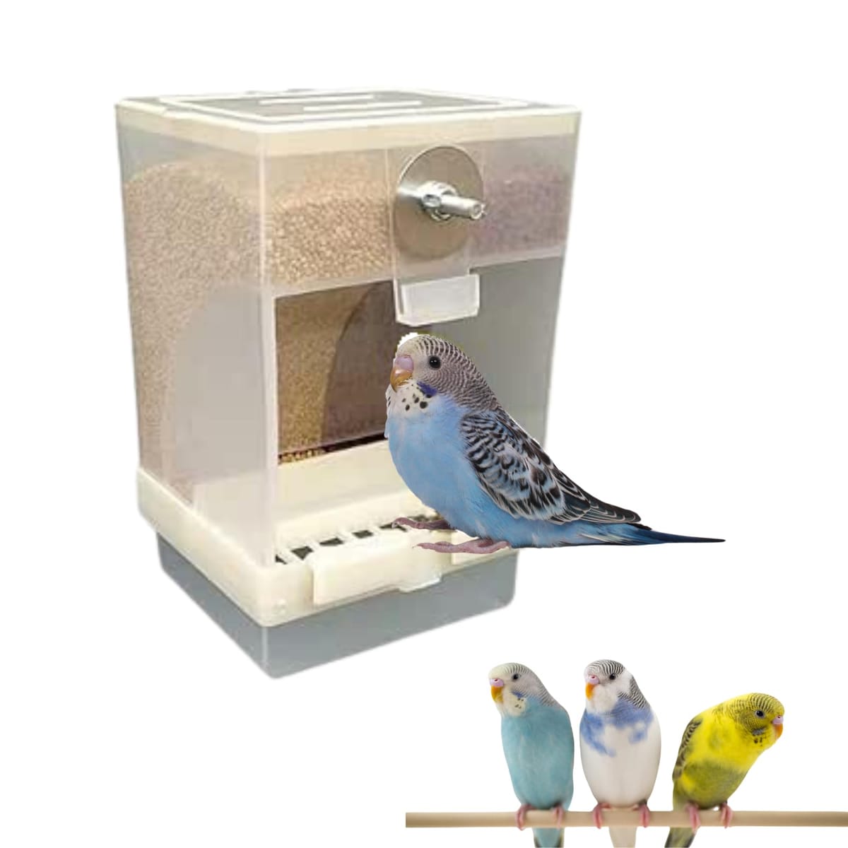 鳥専用自動給餌器（小粒用）と備長炭セット オートフィーダー Bird│マルカンの製品一覧｜ペット用品なら