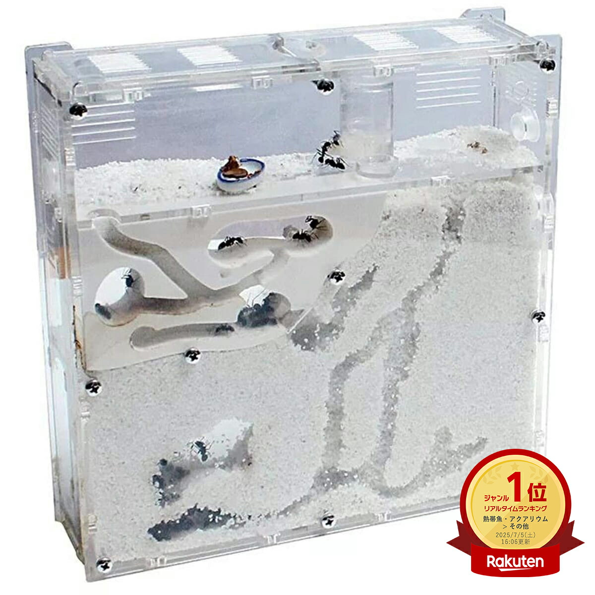 アクリル製アリ飼育キット 自然な岩レイアウト アクリル製アリ飼育キット 自然な岩レイアウト 蟻 観察キット