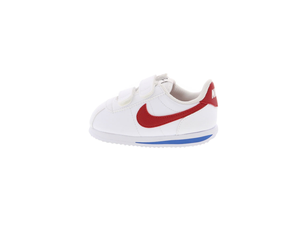 cortez basic sl tdv