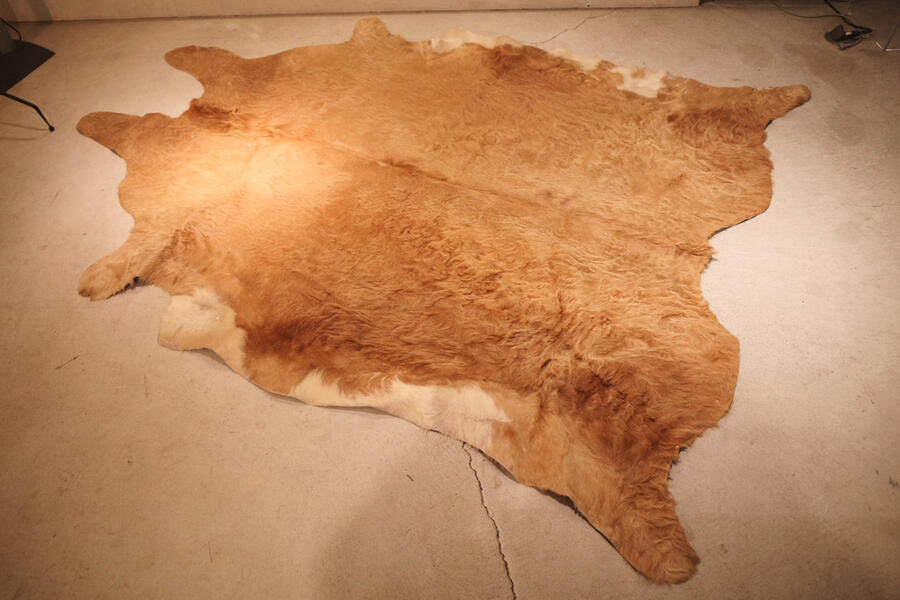 楽天市場】希少 フランス産 made in france Bormesi 大型 大判