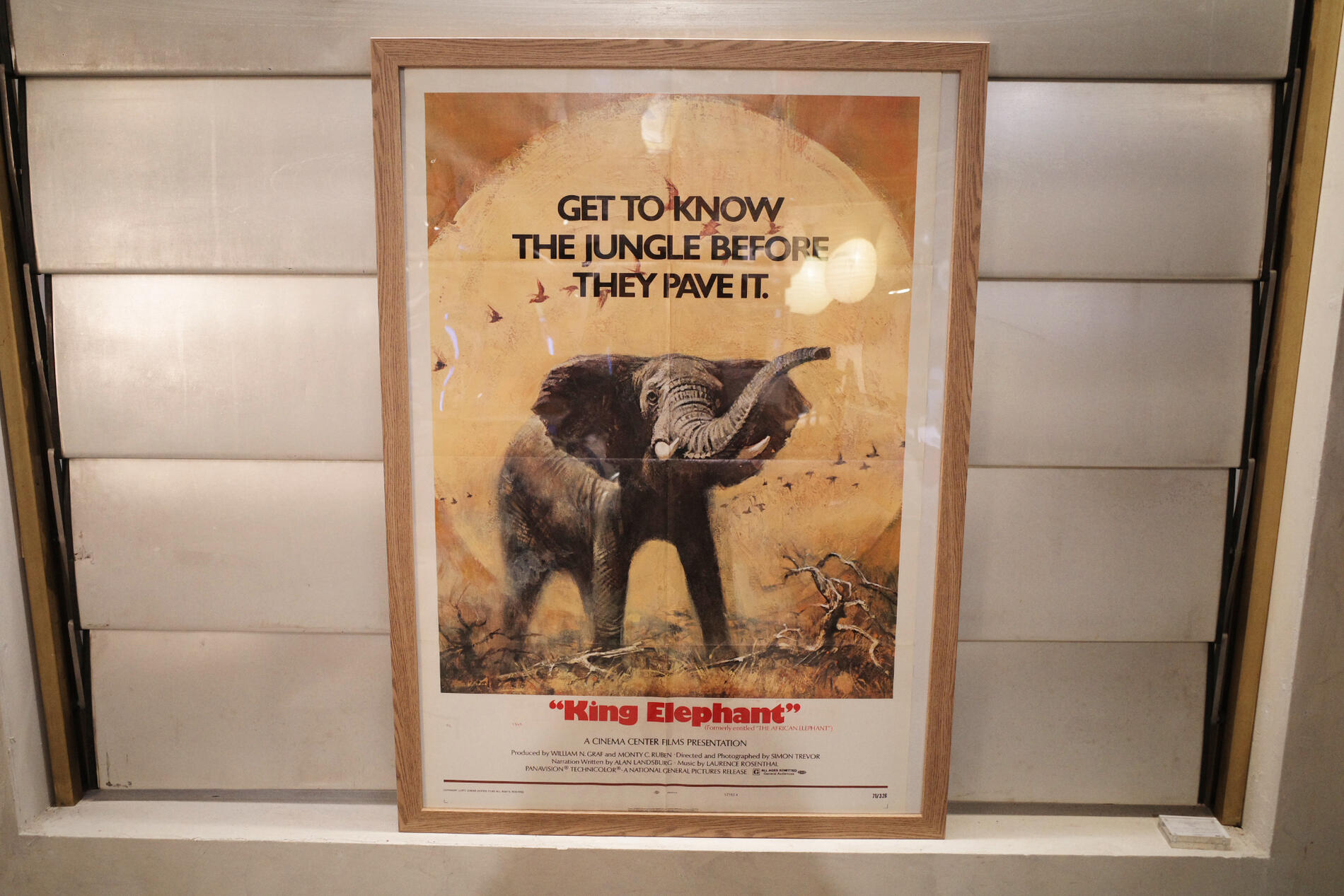 楽天市場】1968年 Vintage/ヴィンテージ 海外版 大判 大型 映画