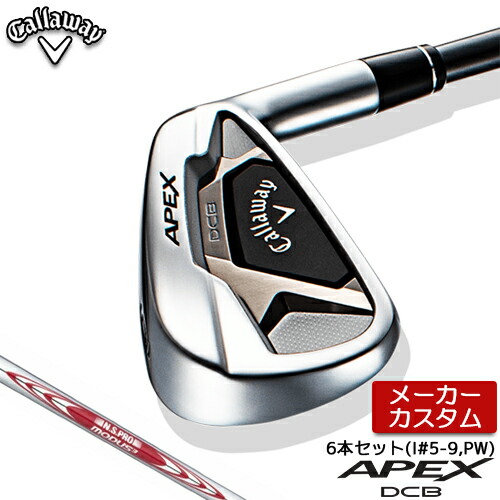 高質で安価 6本セット 5 Pw アイアン 21 Dcb Apex メーカーカスタム Callaway キャロウェイ N S Pro アイアン 日本正規品 エイペックス 21年モデル キャロウェイ スチールシャフト 105 Tour Modus3 Dcbirc5 3 Www Dupoll Com