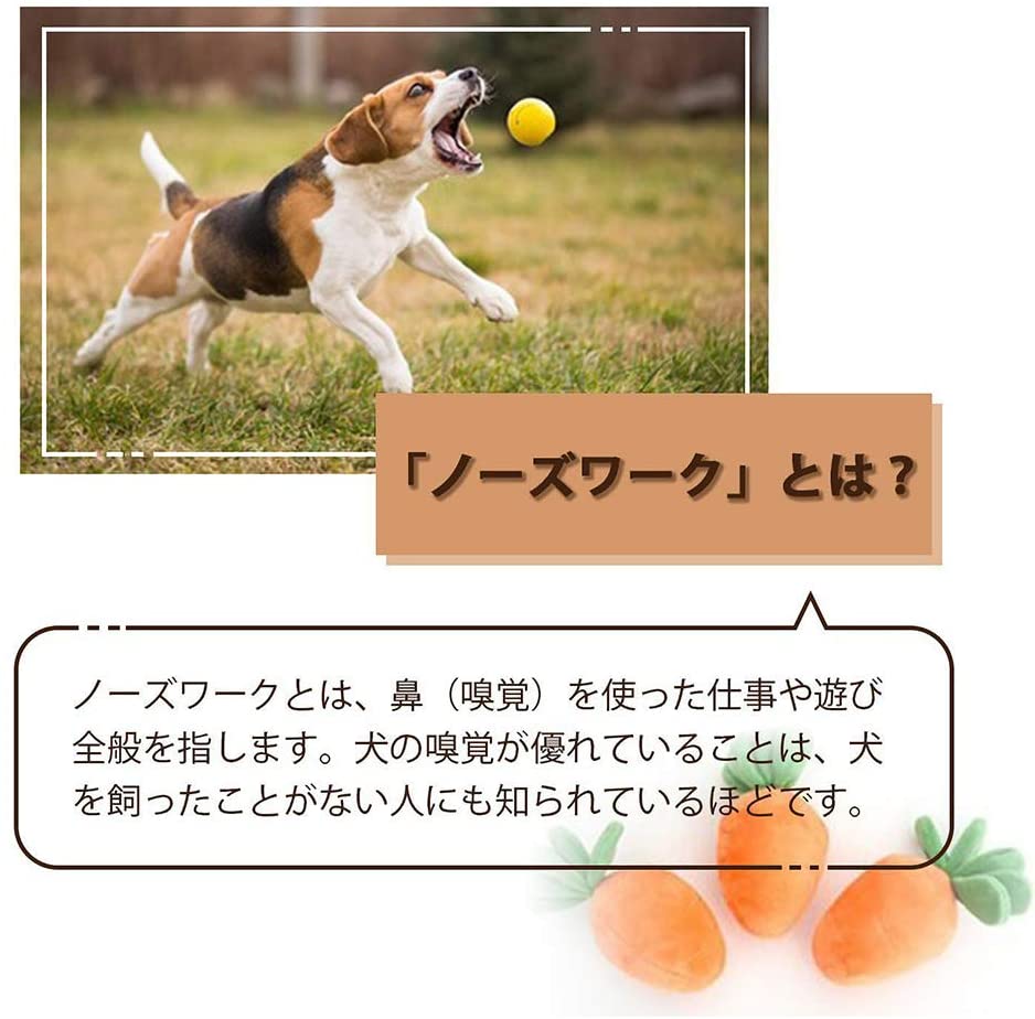 楽天市場 知育玩具 ペット おもちゃ 犬 ペット用品 ノーズワーク ぬいぐるみ 人参 大根 ペットおもちゃ にんじん ノーズワーク おやつ隠し 訓練毛布 ペット キノコ 犬 Uneile