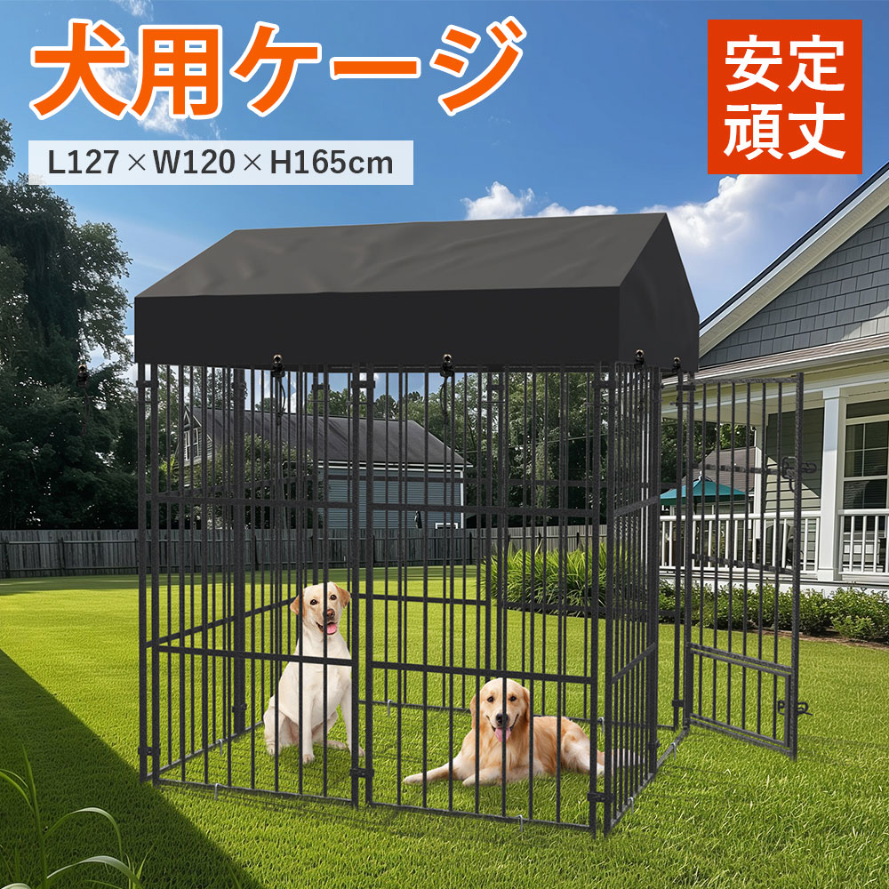 楽天市場】大型鳥かご 烏骨鶏 鶏 バードケージ 鳩 鳥小屋 Lサイズ