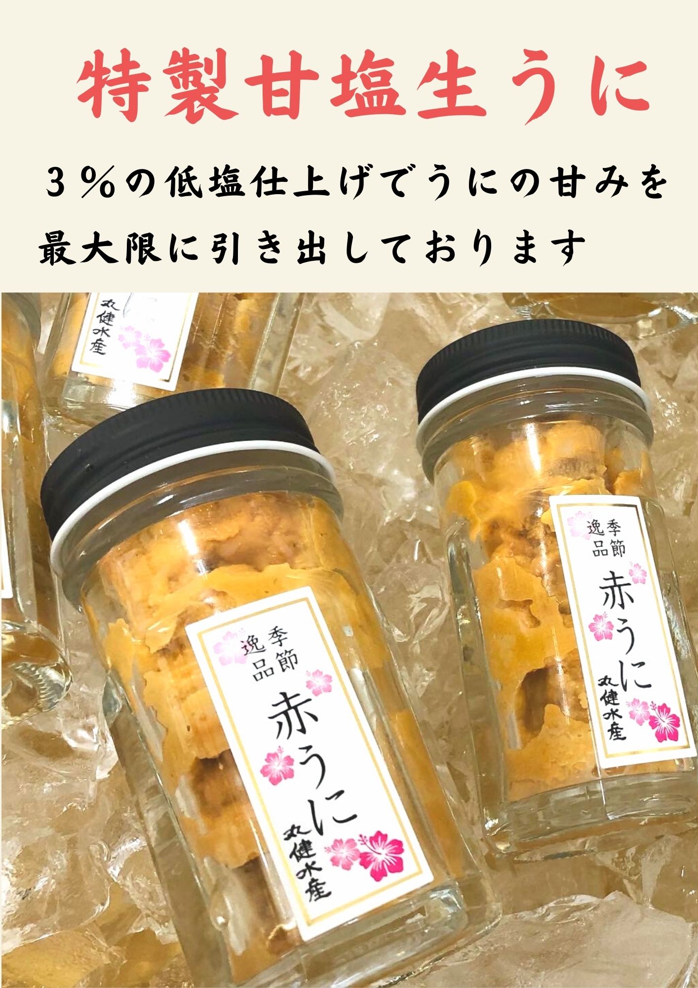 楽天市場】【送料無料】天草殻出し生うに＜ガンガゼうに＞50ｇ×2本組