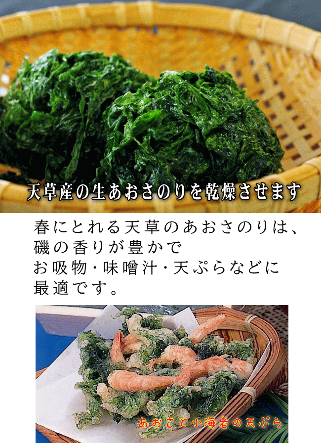 楽天市場 送料無料 天草産 海藻セット3種 干しあおさのり 干しめかぶ 芽ひじき 海藻 乾燥 国産 九州 熊本 天草生うに本舗丸健水産