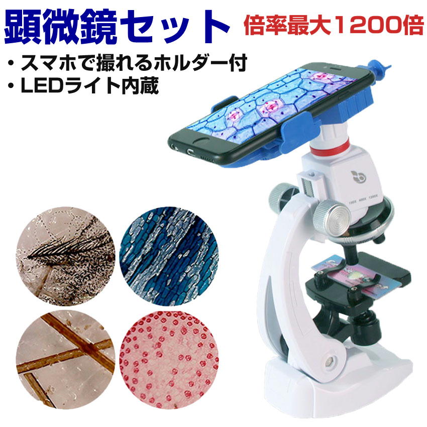 市場 10倍 スマホホルダー付 学校 Ledライト マイクロスコープ 研究 セット 理科 内蔵 観察 乾電池式 顕微鏡