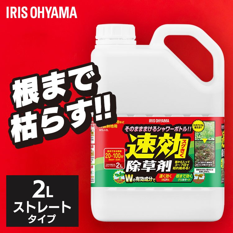 ޥȥ졼ȥ2L