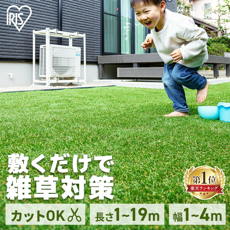 美品】D&M フォートプラントスタンド H55 グレー 6号 【公式通販】