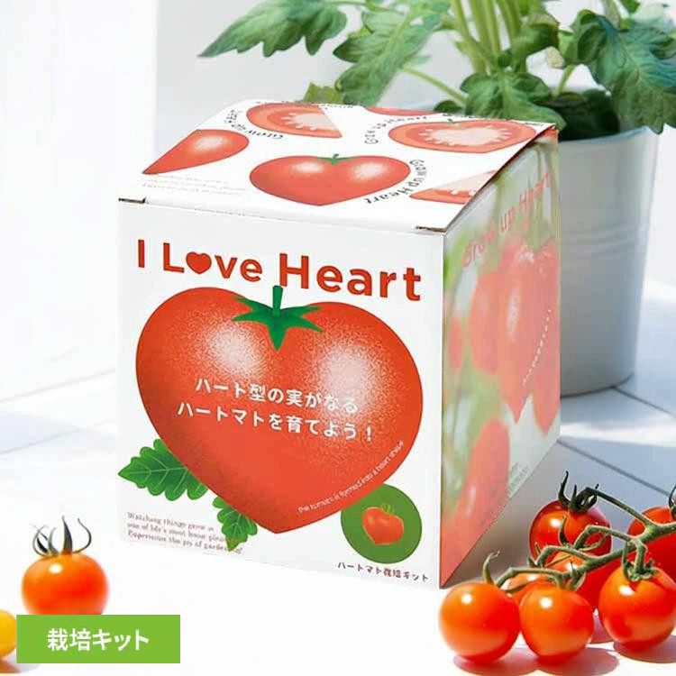 「トマト」ワコーズセット トマト」ワコーズセット トマト」ワコーズセット WAKO'S（ワコーズ