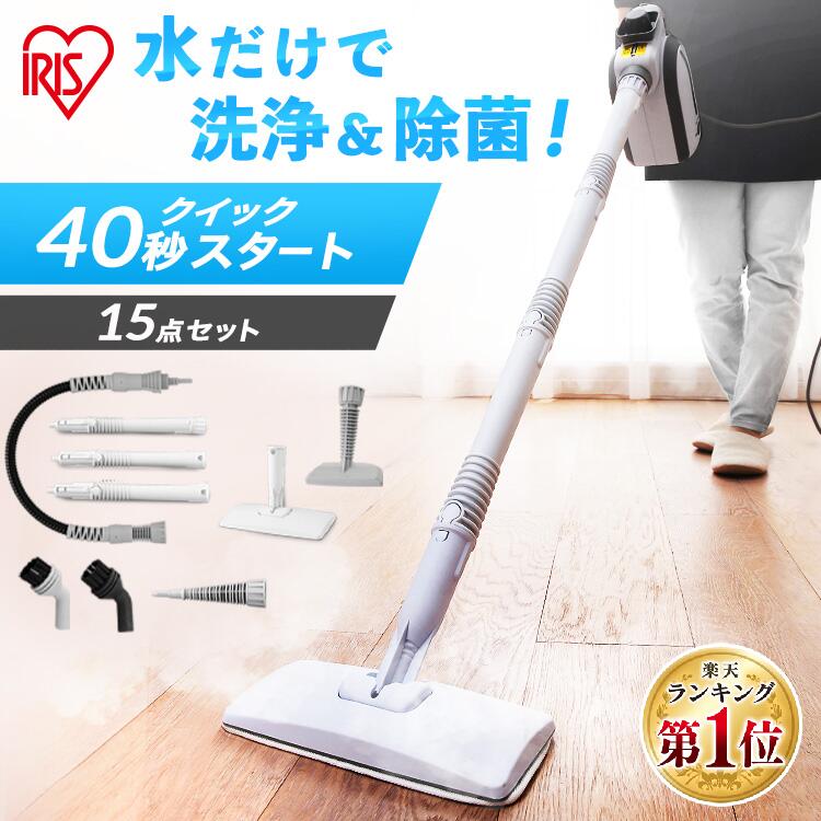 高音スチームクリーナー 軽量ハンディタイプ 楽天市場】＼店内ほぼポイント5倍☆20日限定／スチーム