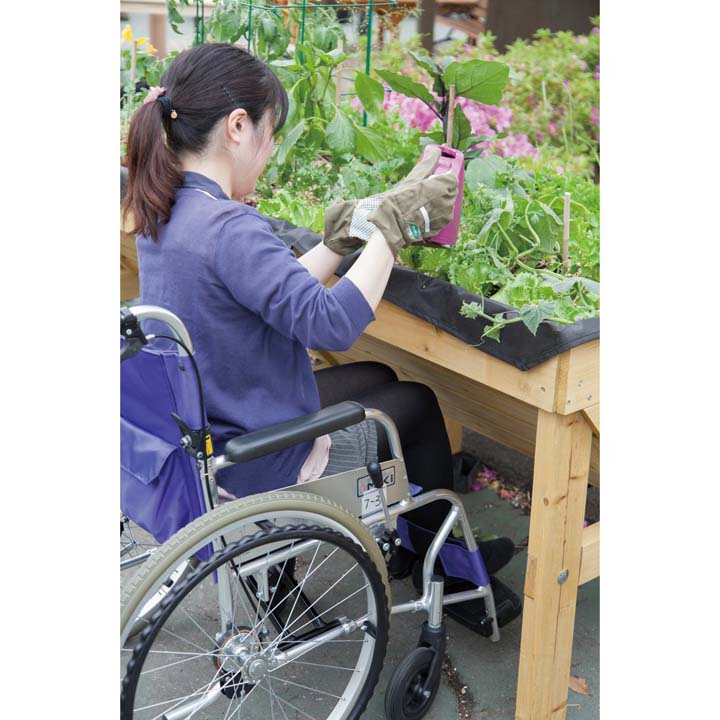 新作からsaleアイテム等お得な商品満載の ゆにでのこづちタカショー レイズドベッド 高床式花壇 立ち上げ花壇 ガーデニング プランター 家庭菜園 野菜づくり ベジタブルガーデン 庭 植え替え 屈まない Diy Diy 通販 新商品 ホームベジトラグ 新作からsaleアイテム等お得な商品満載の ゆにでのこづちタカショー レイズドベッド 高床式花壇 立ち上げ花壇 ガーデニング プランター 家庭菜園 野菜づくり ベジタブルガーデン 庭 植え替え 屈まない Diy Diy 通販 新商品 ホームベジトラグ