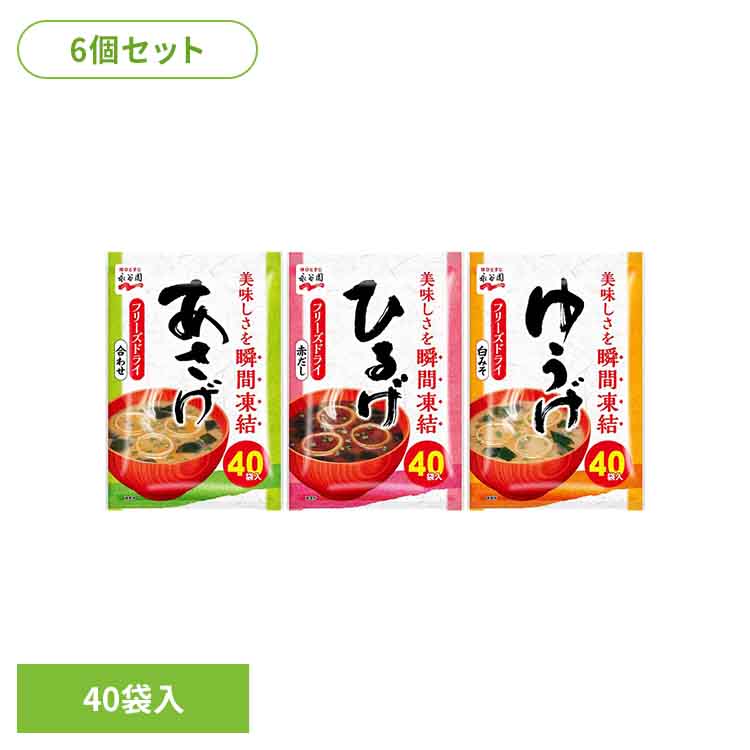 【6個】粉末徳用 40食入 永谷園 あさげ 粉末みそ汁 フリーズドライ 合わせみそ 徳用タイプ 大袋入り お弁当 手軽 朝食 あさげ ひるげ ゆうげ｜ゆにでのこづち