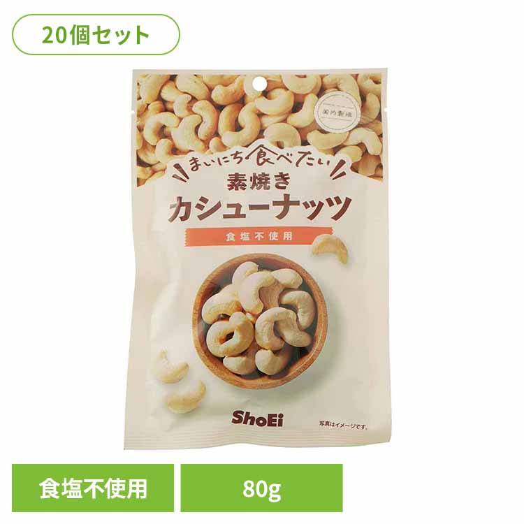 【20個】まいにち食べたい素焼き カシューナッツ カシューナッツ 素焼き 国内製造 食塩不使用 正栄食品 Shoei ナッツ まいにち食べたい 焙煎 個包装 5,731円