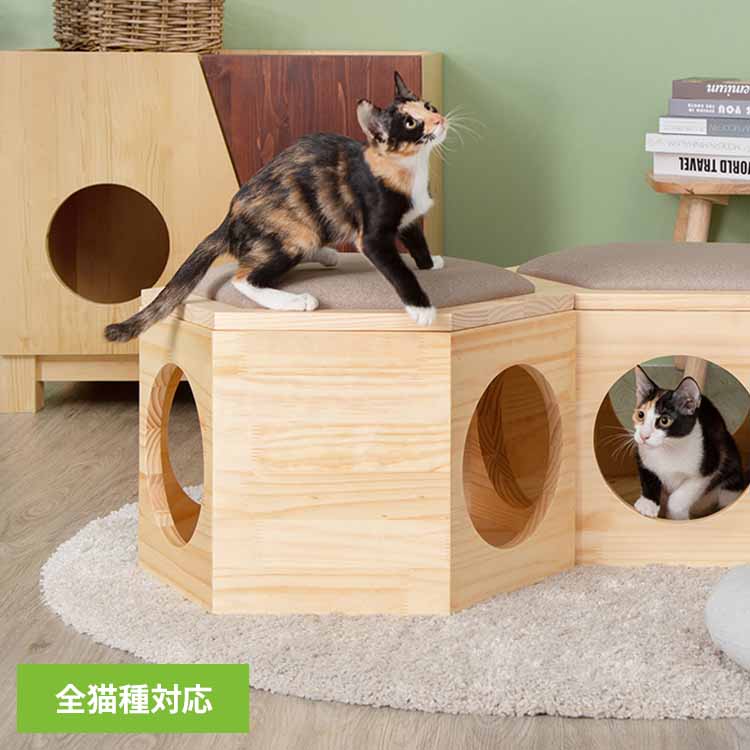 六角ハウスチェアプレート MZ0023 キャットウォーク キャットステップ 猫用品 ペット用品 猫家具 猫ベッド 壁掛け ペット共生 猫部屋 賃貸おすすめ 長彩株式会社 【B】