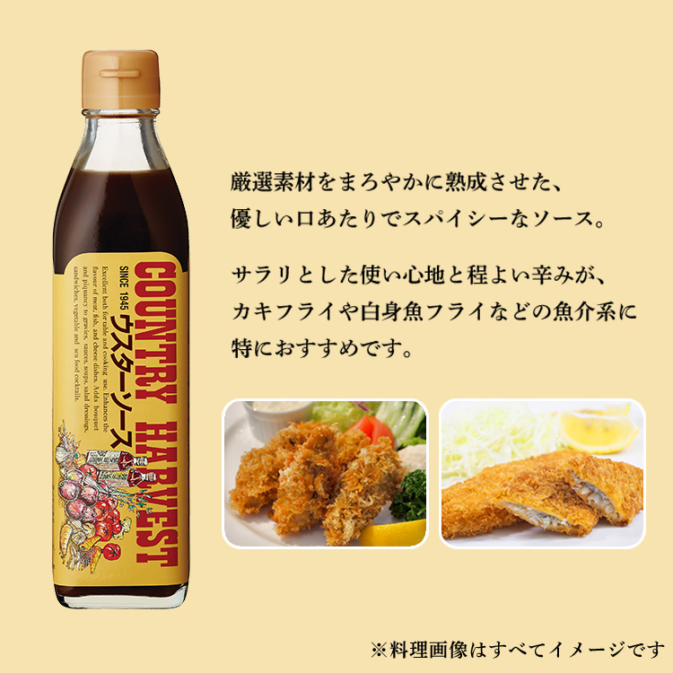 市場 10本 カントリーハ−ヴェストウスターソース300ml 送料無料