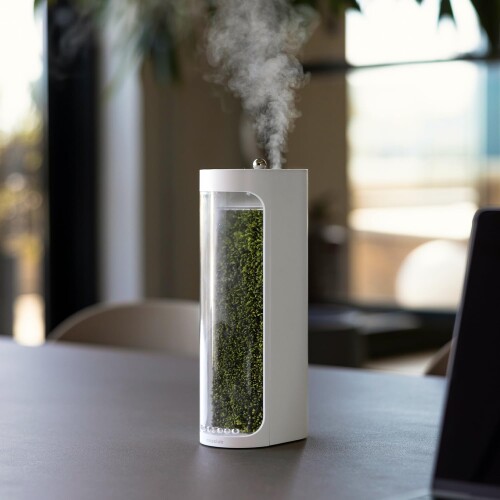 Mosslab Moss Air(モスエア) - 生きている苔の加湿器 | テラリウム & テーブル装飾 | ミスト噴水 | お手入れ簡単な室内植物 | 室内のリラックス | ポータブル&ささやき静か | 320mL