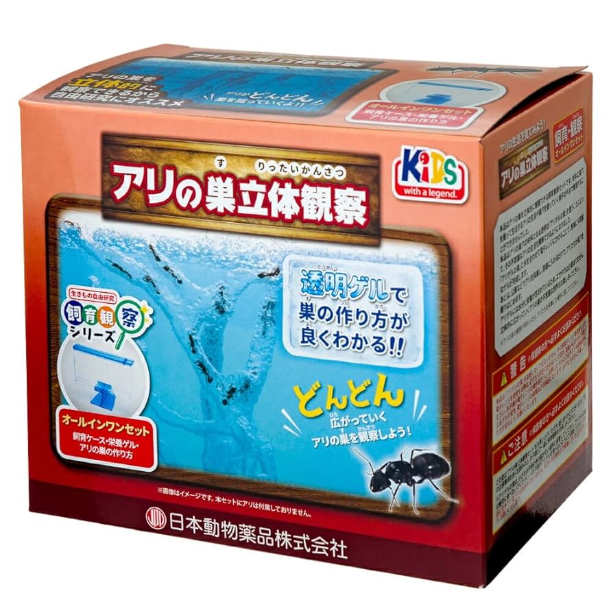 アリの巣　観察セット　×4 アリの巣 観察セット×4