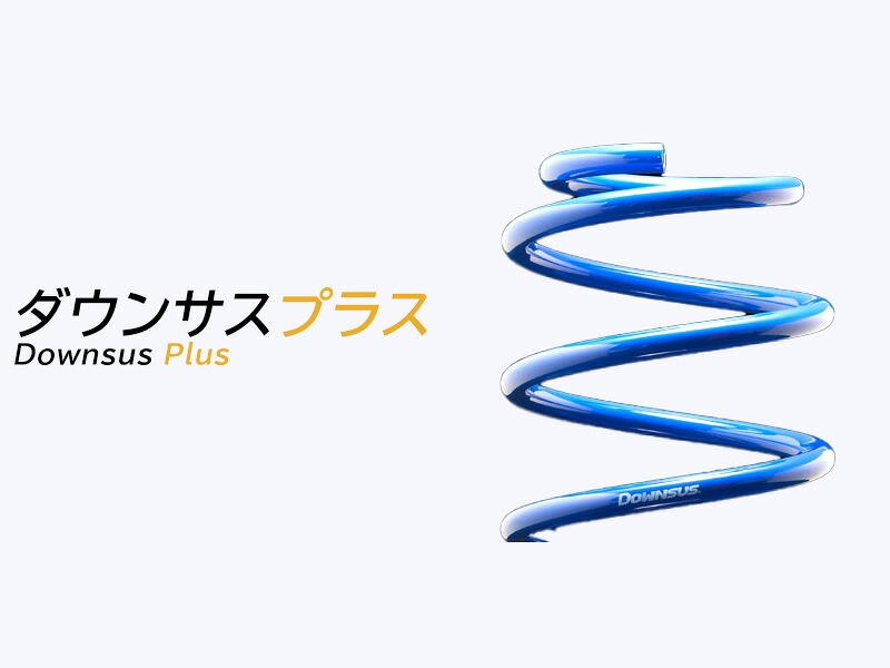 [エスペリア]GRS191 レクサスGS350_2WD 後期 / 350 Ver I(H19/10～H23/12)用ダウンサスプラス[車検対応]