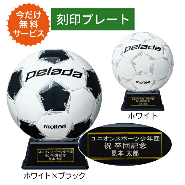 新品　サッカーボール(モルテン)2個 Amazon | モルテン ライトドッヂ 2号(サックスピンク) SLD2PSK