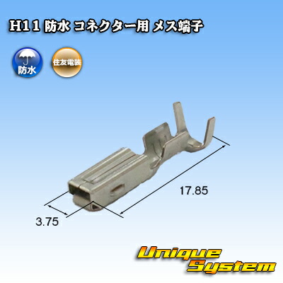 h11-tf.jpg