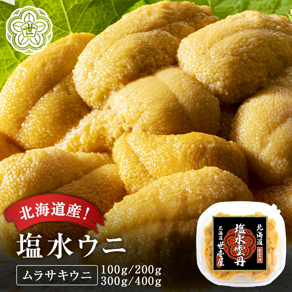 【予約商品】北海道産 塩水ウニ ムラサキウニ 100g 無添加 生ウニ 雲丹 うに ミョウバン不使用 新鮮 上品 甘み 海鮮 お取り寄せ グルメ 贈答 ギフト｜うに専門店　世壱屋