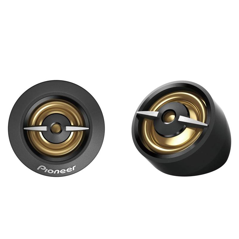 PIONEER TS-A 黒いこと\u0026amp;ゴールドつづき物金棒引き