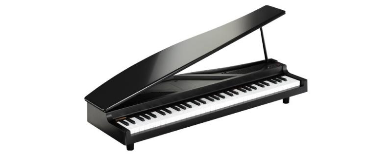 KORG MICROPIANO マイクロピアノ ミニ鍵盤61鍵 ブラック 61曲のデモソング内蔵 自動演奏可能|ユナイテッドショップ