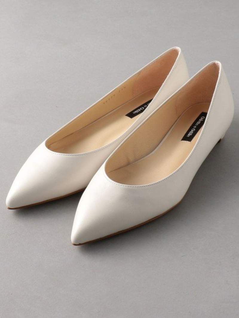 Oid ベーシックポインテッド Flt Odette E Odile ユナイテッドアローズ アウトレット シューズ フラット 送料無料 Rakuten Fashion septicin Com