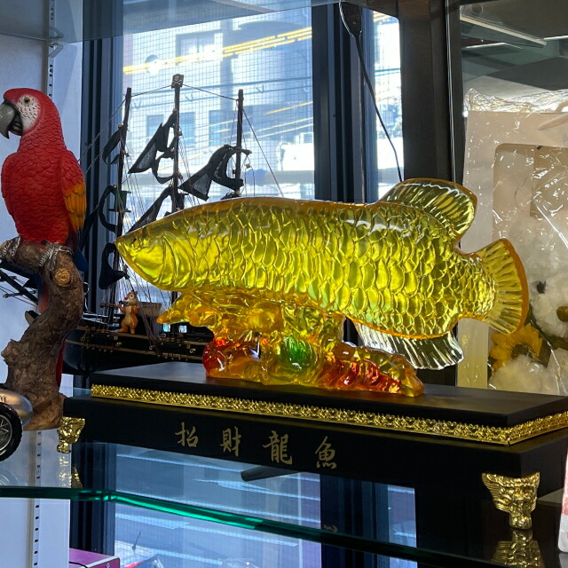 楽天市場】金龍魚 置物 アロワナ 風水 金龍 魚 特大最大長さ約