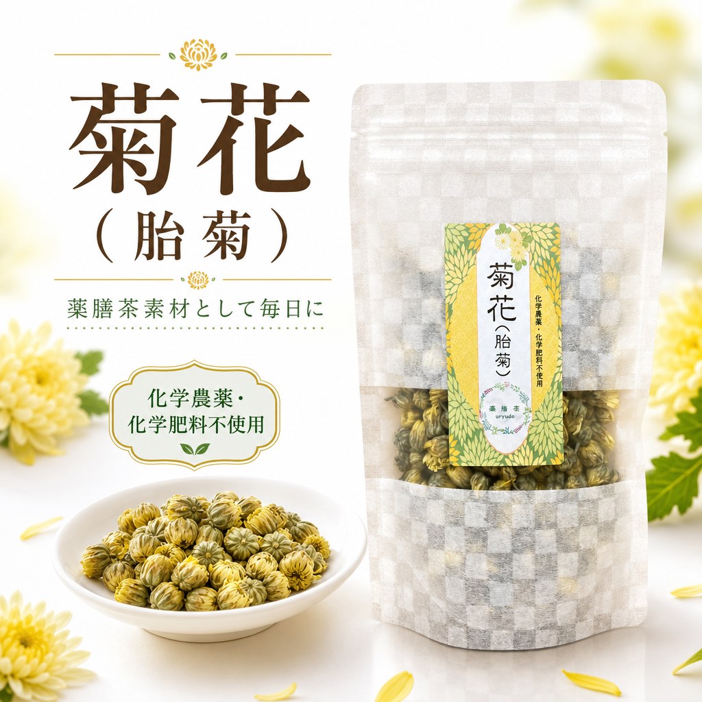 10%ポイントバック中！】【公式】シボラナイトダイエットコーヒー 送料