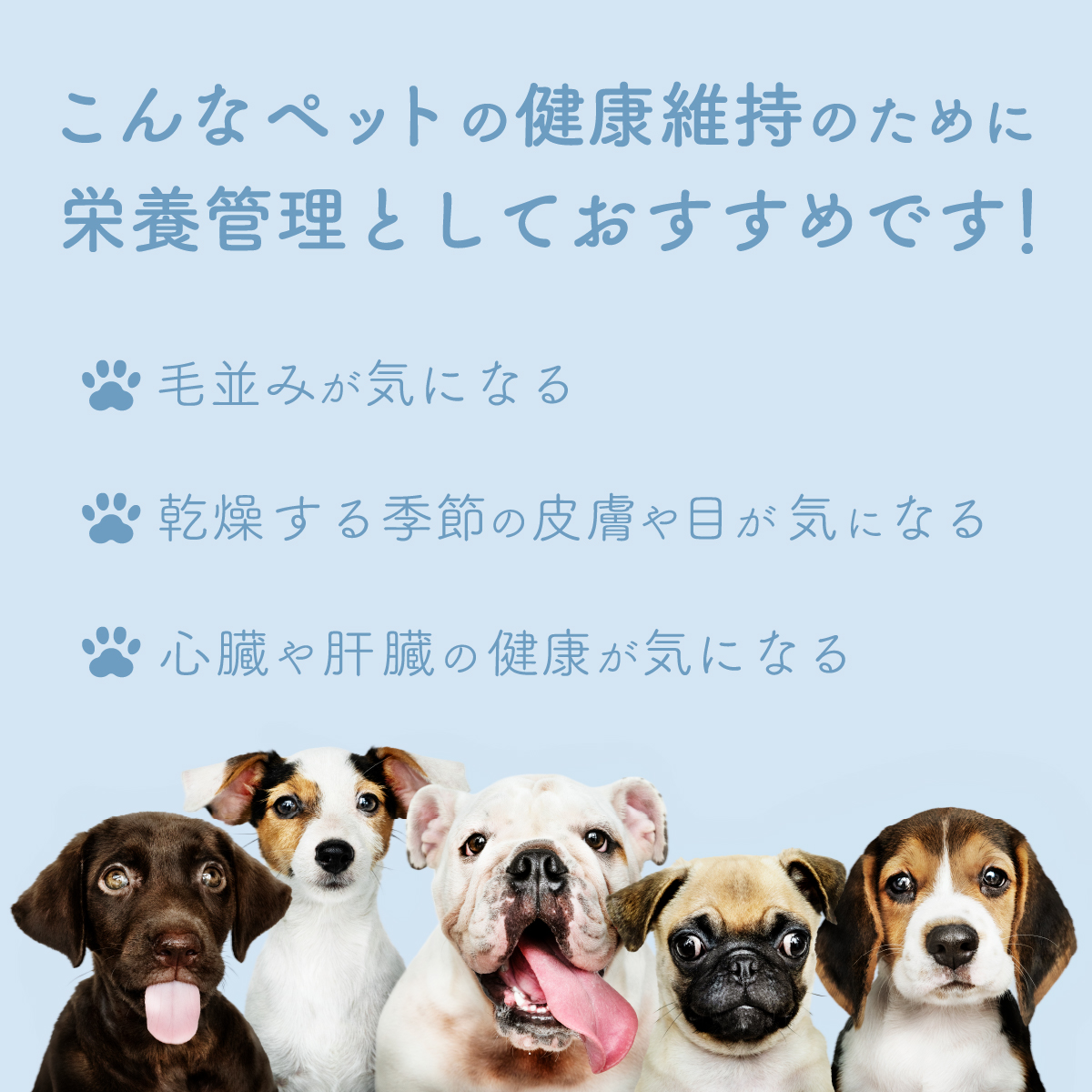 楽天市場 犬 猫 漢方薬 うちのこペット漢方 気 生後3か月以上 愛犬 愛猫 獣医師 薬剤師 監修 ペット用漢方薬 成犬 成猫 シニア ペットサプリメント 気の巡り ペットのストレスサポート 犬のストレス 猫のストレス 送料無料 ペットが食べる漢方 ペット漢方 De